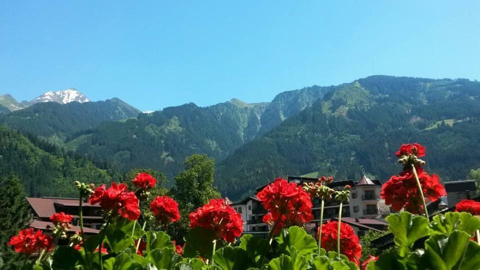 Apartmán Landhaus Alpenrose Mayrhofen Exteriér fotografie